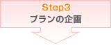 STEP3 v̊